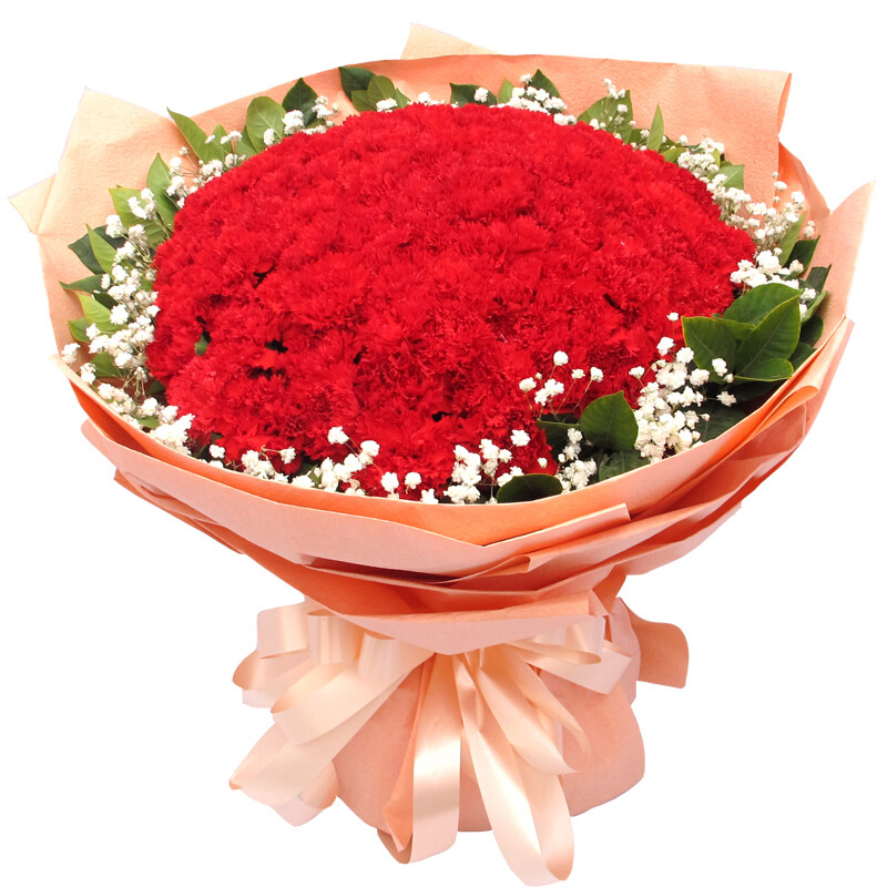 红色康乃馨花语的花语是什么？