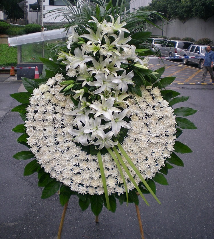 悼念死者白菊花圈图片图片