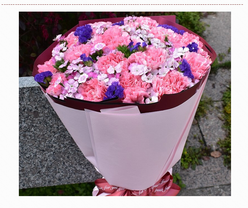 21朵粉色康乃馨,粉色石竹梅丰满间插,勿忘我点缀-花市网